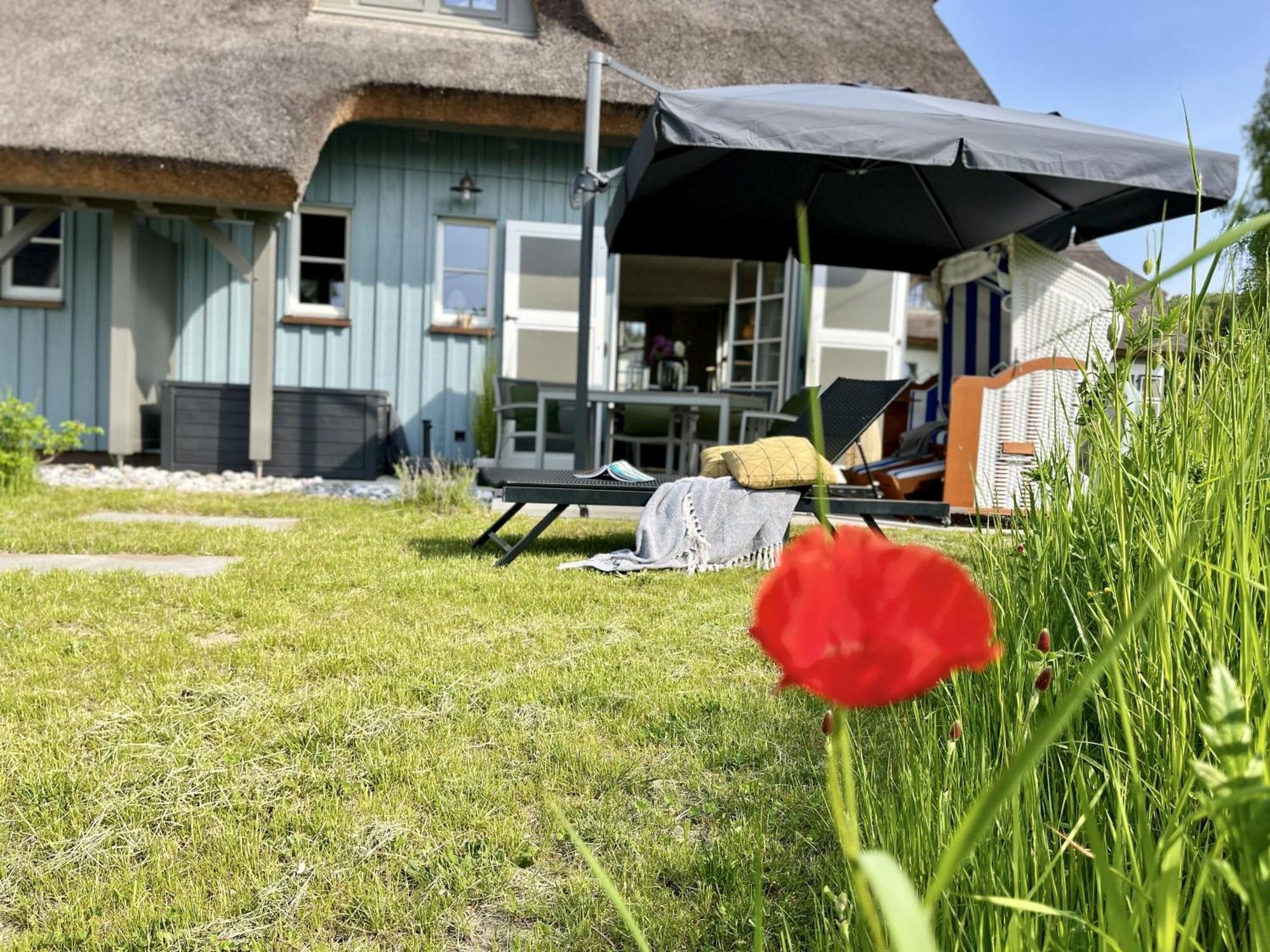 Ferienhaus Strandflieder 05 Feriendorf Klein Stresow Ruegen By Ruyastay Putbus Exteriör bild